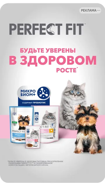 Рекламная плитка Perfect Fit в ленте Яндекс Маркета